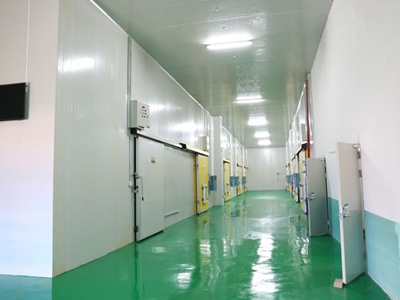 福州低温速冻冷库