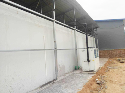 制冷剂氨泄露和臭氧对人体的危害 制冷剂氨泄露和臭氧对人体的危害